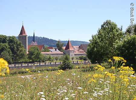 Stadtansicht (Berching, Naturpark Altmühltal)