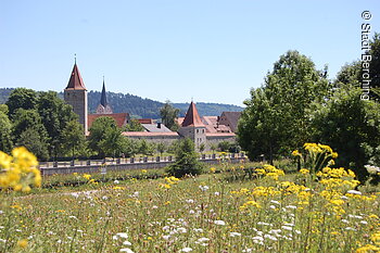 Stadtansicht (Berching, Naturpark Altmühltal)
