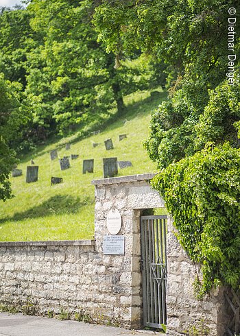 Judenfriedhof (Pappenheim, Naturpark Altmühltal) Jüdischer Friedhof