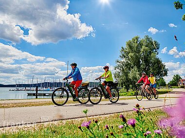 Radfahren Brombach-Altmühlsee (Fränkisches Seenland)