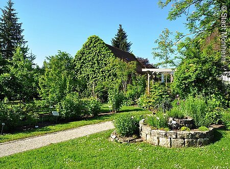 Ein Garten, durch den ein Weg läuft, mit vielen grünen Büschen und Pflanzen.