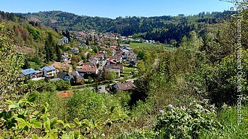 Ortsansicht (Steinwiesen, Frankenwald) Blick auf ein Dorf in einer hügeligen, bewaldeten Landschaft mit Häusern und grünen Bäumen.