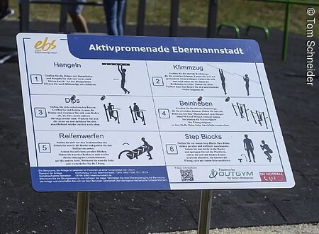 Schild mit Anleitungen für Fitnessübungen an der Aktivpromenade Ebermannstadt. Übungen: Hangeln, Klimmzug, Dips, Beinheben, Reifenwerfen, Step Blocks.