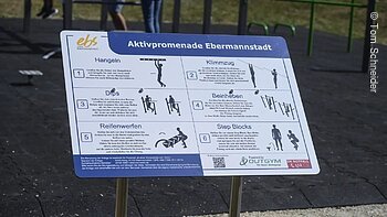 Aktivpromenade (Ebermannstadt, Fränkische Schweiz) Schild mit Anleitungen für Fitnessübungen an der Aktivpromenade Ebermannstadt. Übungen: Hangeln, Klimmzug, Dips, Beinheben, Reifenwerfen, Step Blocks.
