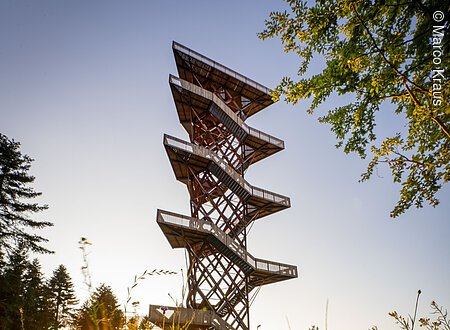 Aussichtsturm in einer Wiese mit roter Blume und Sonnenuntergang im Hintergrund
