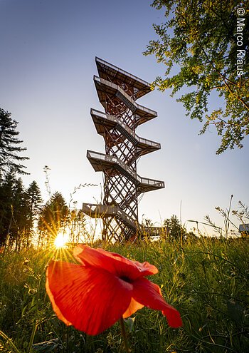 Aussichtsturm in einer Wiese mit roter Blume und Sonnenuntergang im Hintergrund