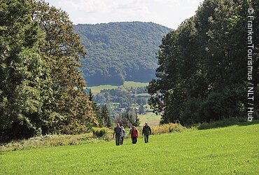 Vier Personen wandern auf einer grünen Wiese mit Wald und Hügeln im Hintergrund.