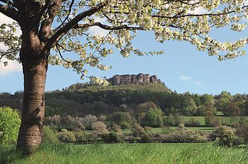 Blühender Baum im Vordergrund, dahinter grüne Wiesen und bewaldeter Hügel mit Felsformation unter blauem Himmel.