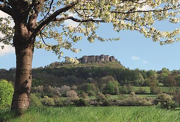 Blühender Baum im Vordergrund, dahinter grüne Wiesen und bewaldeter Hügel mit Felsformation unter blauem Himmel.