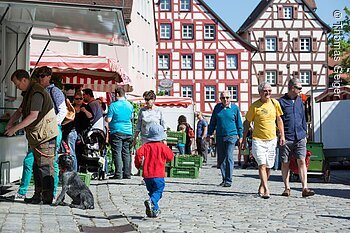 TDG - Stadtansichten Altdorf, und Wochenmarkt, Nuernberger Land; 06.05.2016; [© Thomas Geiger / TANDEM, P e g n i t z s t r. 30, D-91217 H e r s b r u c k , Tel.: +49-9151-824959 +  +49-171-3259880 - V e r o e f f e n t li c h u n g   n u r   mi t   H o n o r a r   n a c h   M F M ,   B e l e g   u n d   N a m e n s n e n n u n g !   C o p y r i g h t  n u r   f u e r   J o u r n a l i s t i s c h e  Z w e c k e, K e i n e  P e r s o e n l i c h k e i t s r e c h t e  v o r h a n d e n !  F r e i g a b e   f u e r   J o u r n a l i s t i s c h e  V e r o e f f e n t l . e r t e i l t !  B a n k v e r b i n d u n g : P o s t b a n k M u e n c h e n - I B A N: DE60700100800218530800 - BIC PBNKDEFF]