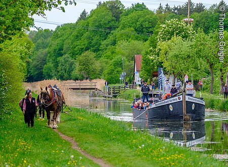 TDG - Treideln mit dem Treidelschiff Elfriede auf dem Ludwig-Donau-Main Kanal bei Schwarzenbach, Burgthann;  04.05.2025; [© Thomas Geiger, P e g n i t z s t r. 30, D-91217 H e r s b r u c k , Tel.: +49-9151-824959 +  +49-171-3259880 - thomas(at)geiger-foto.de - V e r o e f f e n t li c h u n g   n u r   mi t   H o n o r a r   n a c h   M F M ,   B e l e g   u n d   N a m e n s n e n n u n g !   C o p y r i g h t  n u r   f u e r   J o u r n a l i s t i s c h e  Z w e c k e, K e i n e  P e r s o e n l i c h k e i t s r e c h t e  v o r h a n d e n !  F r e i g a b e   f u e r   J o u r n a l i s t i s c h e  V e r o e f f e n t l . e r t e i l t ! ]