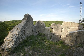 Burgruine Wildenfels (Simmelsdorf, Nürnberger Land)