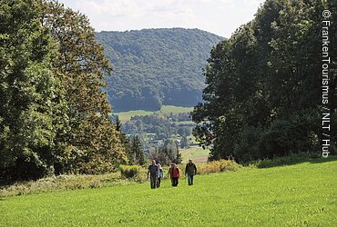 Wandern auf dem Frankenweg (Nürnberger Land)