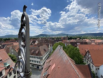 Blick über die Dächer (Hersbruck, Nürnberger Land)