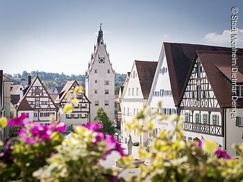 Altstadt (Monheim, Naturpark Altmühltal) Aussicht aus dem Rathaus