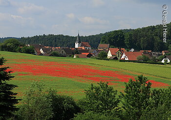 Mohn (Plech, Fränkische Schweiz)