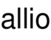 allio